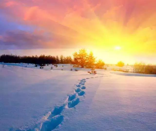 微信圖片_20191212090631.jpg 微信圖片_20191212090631.jpg