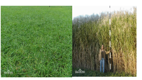 9d54c9c3b2032cba4676b56b89e6adba.png 9d54c9c3b2032cba4676b56b89e6adba.png